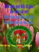 Bai giang TNXH Lop 2- một số loài cây sống trên cạn