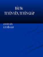 tuyến yên, tuyến giáp