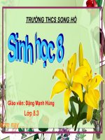 sinh 8- hoat dong he than kinh