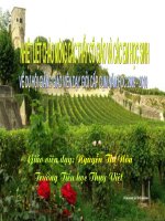 DTXQ và DTTP của HHCN. Toán 5