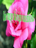 Bai 32  H2S,S02,S03 ( tiet 2)