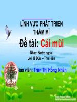 Cái mũi