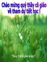Những đặc điểm loại hình tiêng việt