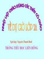 CAY DA QUE HUONG (N.V.Hiện)