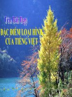 Đặc điểm, loại hình của tiếng việt