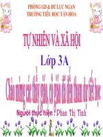 TN&XH 3 Trái đất - Quả địa cầu cực hay