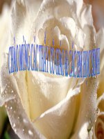 Tiet 31 : PT duong thang lop 10