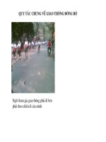 cac hinh anh ve ATGT