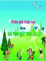 Sự phát triển của cây (GAMNmới )