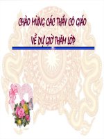 Tiet 39 cuoc khang chien lan rong ra toan quoc - thanh nhan