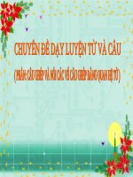 Chuyên đề luyện từ và câu .