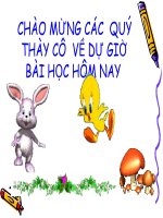 bài 26 tình hình xã hội nửa đầu thế kỉ XIX và phong trào đấu tranh cuảa nhân dân