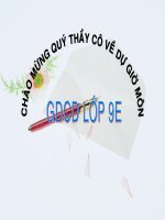 vi pham PL va trach nhiem phap li cua CD