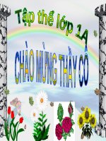 Bài:Mèo con đi học