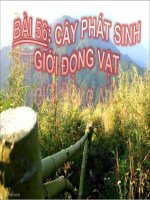 T59.Cay phat sinh gioi dong vat