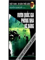 Một số hình ảnh về Phong Nha - Kẻ Bàng