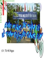 Lựa chọn TTT trong câu (Chỉnh sửa)