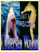 UNIT 9 - E 10 NC - READING