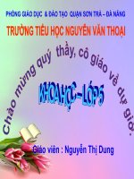khoa hoc  tuần 29