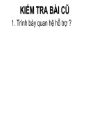 Các đặc trưng cơ bản của quần thể sinh vật