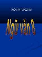 Bài giảng: Đi bộ ngao du