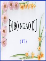 TIẾT 110 - ĐI BỘ NGAO DU ( TT )-GIAI A