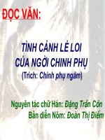 Tình cảnh lẻ loi của người chinh phụ( có ngâm thơ)