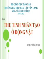 Thụ tinh nhân tạo ở động vật