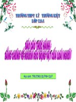 Bang chung ve nguon goc dong vat cua loai nguoi