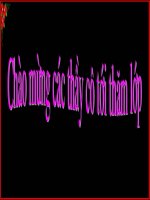 Cấu trúc của virut và sự nhân lên của virut trong tế bào vật chủ