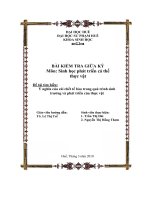 TIỂU LUẬN Ý NGHĨA CỦA SỰ CHẾT TẾ BÀO