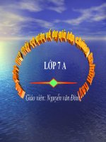 Bộ ăn sâu bọ, bộ gặm nhấm.....