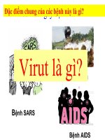 bài 29. Cấu trúc các loại virut