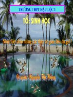 bài 8 tế bào nhân thực