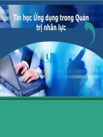 Tổng quan về tình hình ứng dụng tin học trong quản trị nhân lực ở việt nam