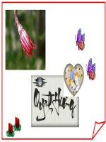 Quỳnh hương- Đóa hoa yêu kiều; Bài hát thật hay, thật lãng mạn; Nhiều hình động đẹp; Hình nền đẹp