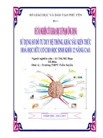 đề tài nghiên cứu khoa học môn hóa học