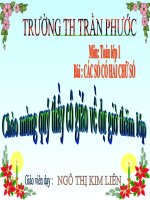 cac so co hai chu so