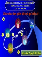 Bài 50 Hệ sinh thái