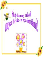 Bài 6. Vẽ đường cong