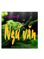 Tiết  105,106 Thuế máu