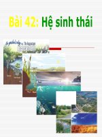 Bài 42 -HỆ SINH THÁI