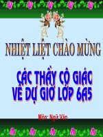 Cầu Long Biên _ chứng nhân lịch sử
