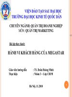QUẢN TRỊ MARKETING HÀNH VI KHÁCH HÀNG CỦA MEGASTAR