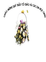 Tiết 109.Cây tre Việt Nam