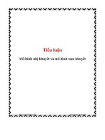 tiểu luận mô hình nhị khuyết và mô hình tam khuyết