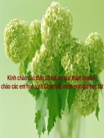 bài 6 hệ thức vi-ét và ứng dụng