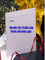 Tìm hiểu yếu tố biểu cảm trong văn nghị luận - Ngữ văn 8