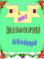 KPKH: CĐ: Những con vật nuôi trong GĐ