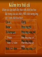 ankin co ban hoan chinh